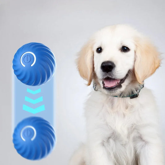 Automatic Rotating Pet Ball Toy