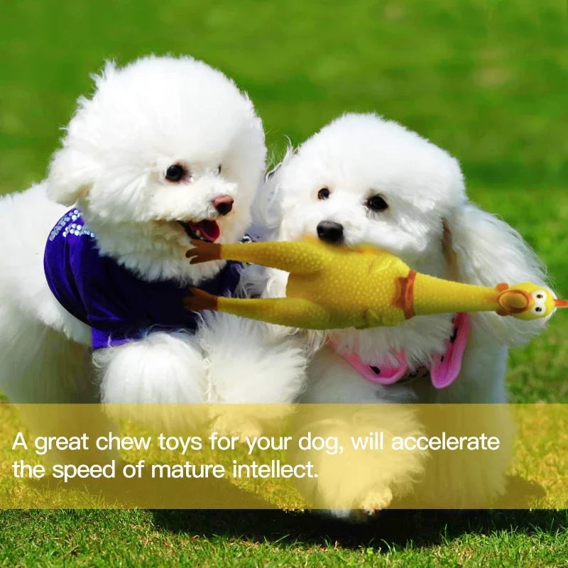 Squeaky Chicken Dog Toy