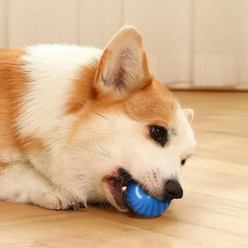 Automatic Rotating Pet Ball Toy
