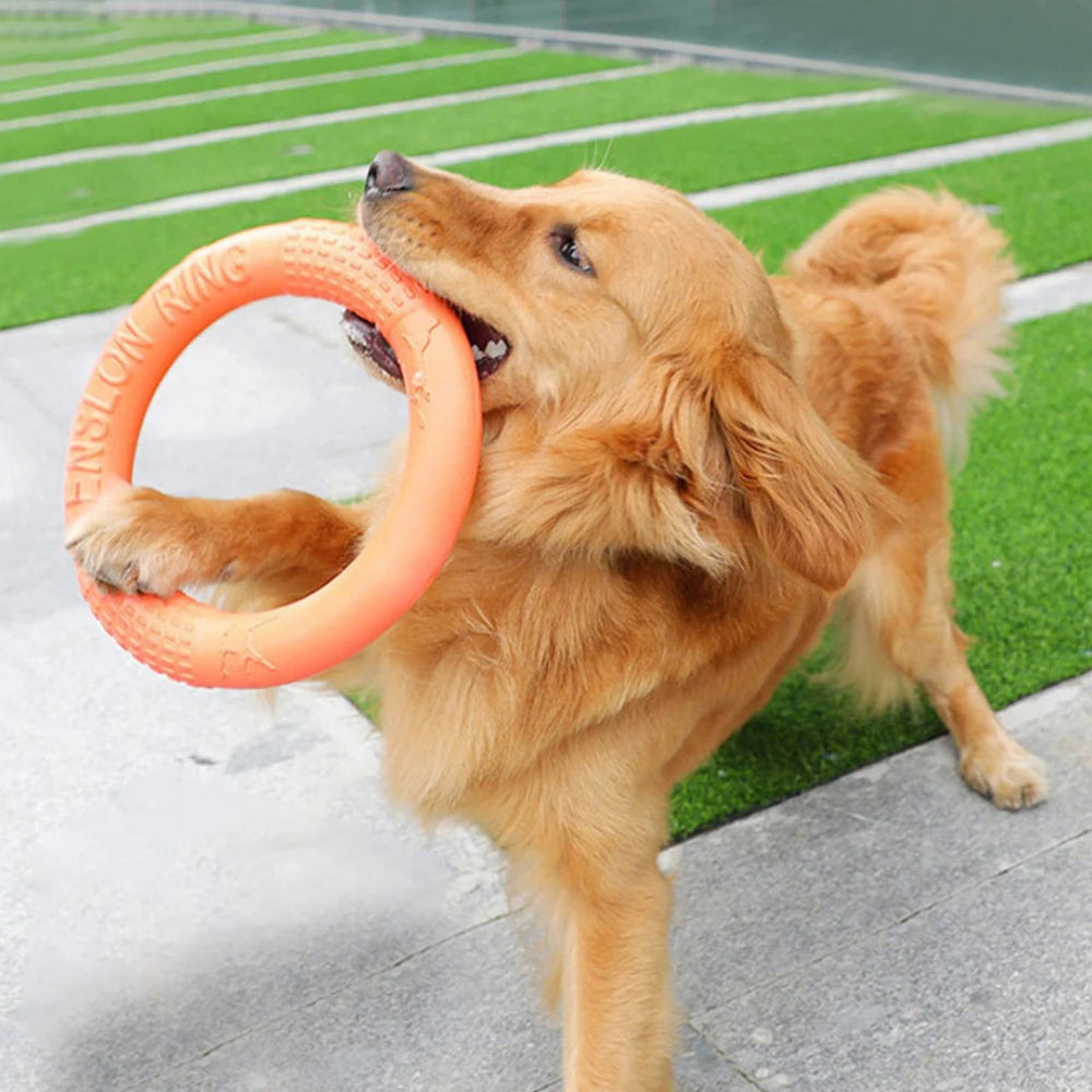 EVA Training Ring Dog Toy