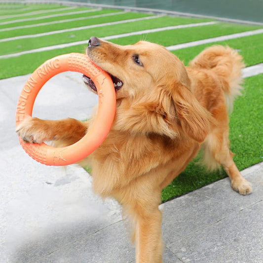 EVA Training Ring Dog Toy