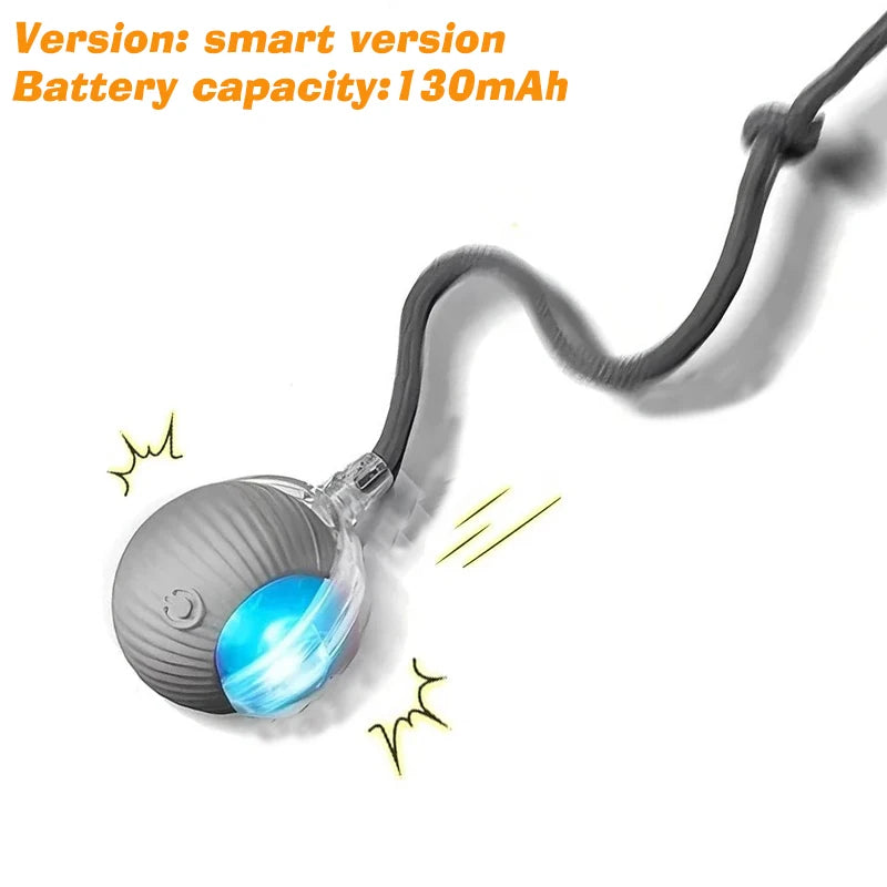 Rechargeable Interactive Dog Ball