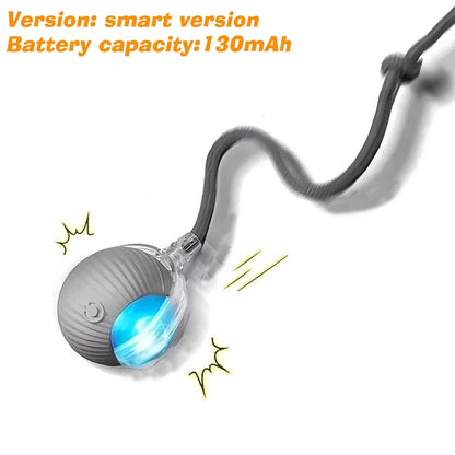 Rechargeable Interactive Dog Ball