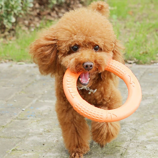 EVA Training Ring Dog Toy