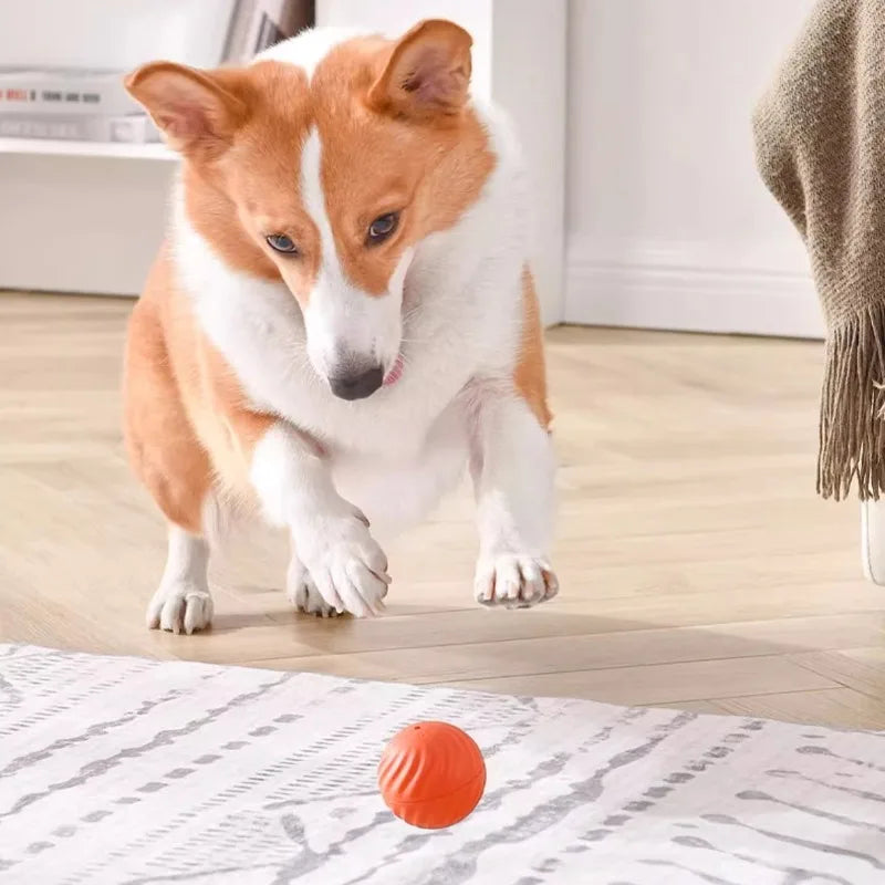 Automatic Rotating Pet Ball Toy