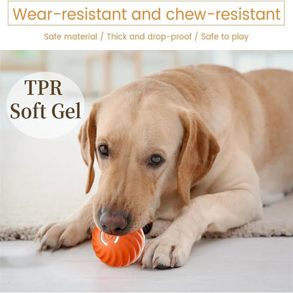 Smart Electronic Pet Ball Toy