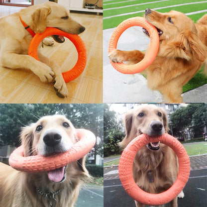 EVA Training Ring Dog Toy