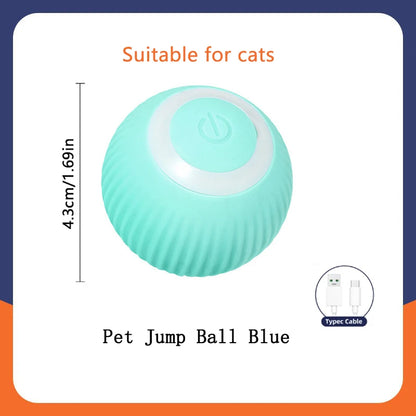 Smart Electronic Pet Ball Toy
