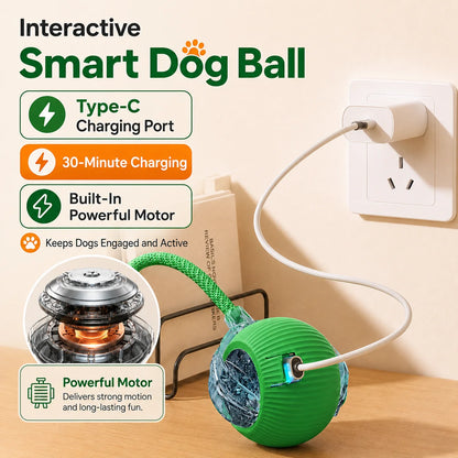 Rechargeable Interactive Dog Ball