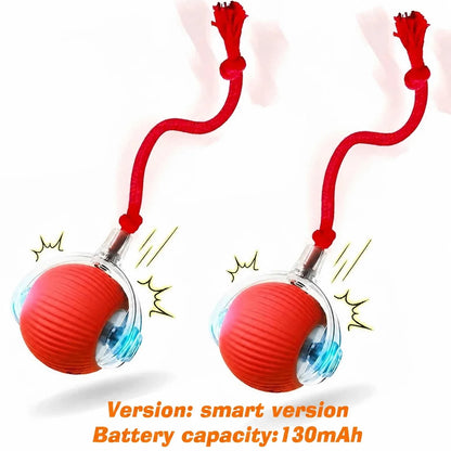 Rechargeable Interactive Dog Ball
