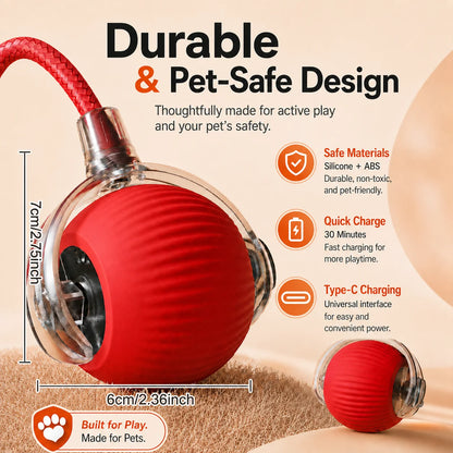 Rechargeable Interactive Dog Ball