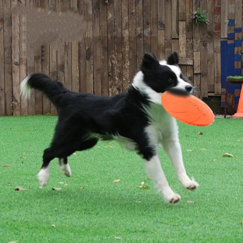 Silicone Flying Disc Pet Toy