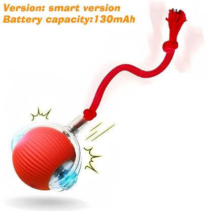 Rechargeable Interactive Dog Ball