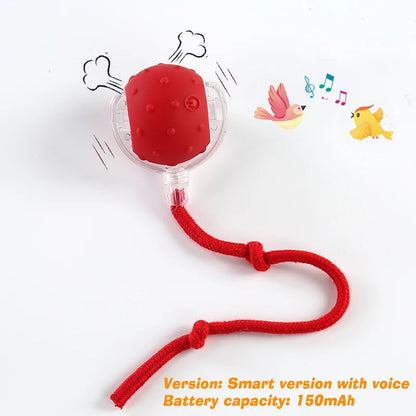 Rechargeable Interactive Dog Ball