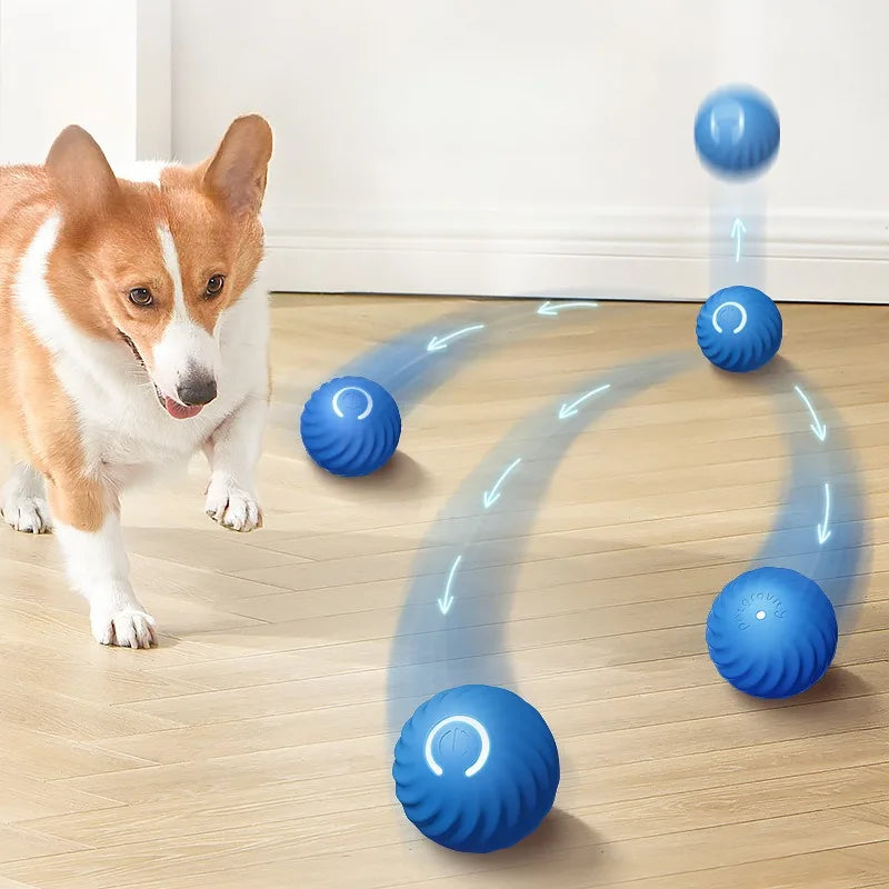 Automatic Rotating Pet Ball Toy