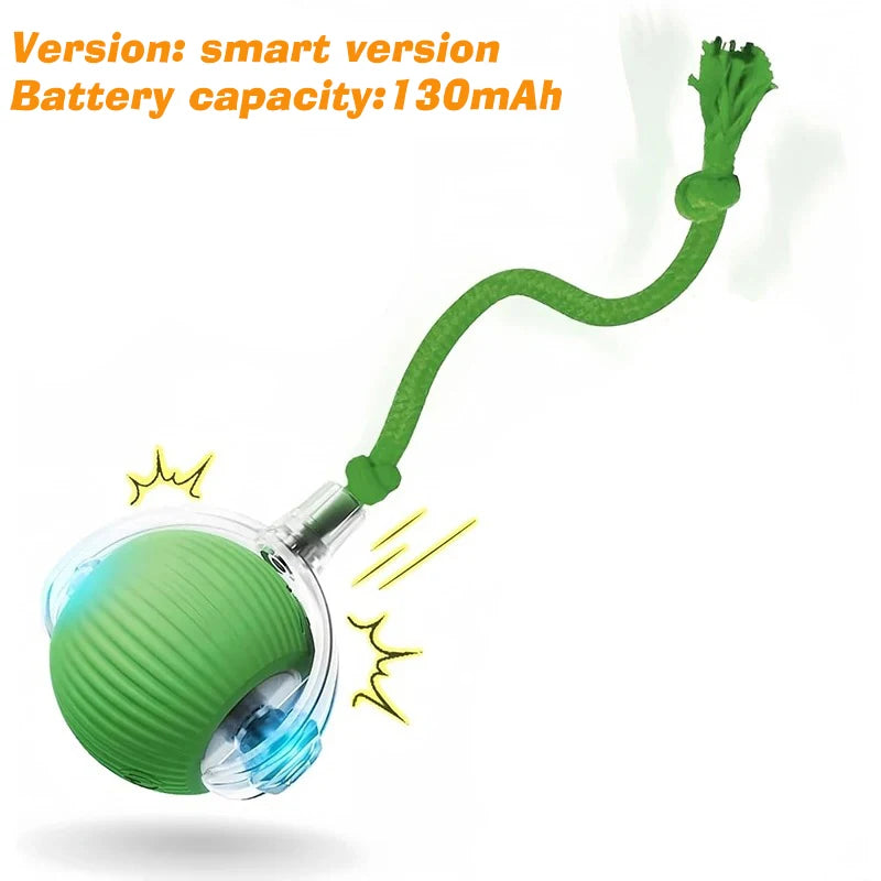 Rechargeable Interactive Dog Ball