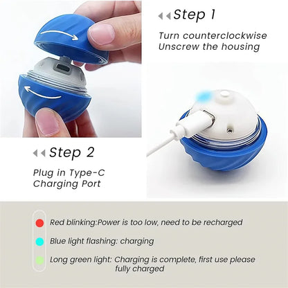 Smart Electronic Pet Ball Toy