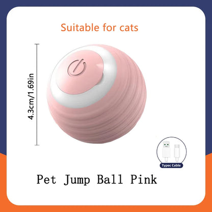 Smart Electronic Pet Ball Toy