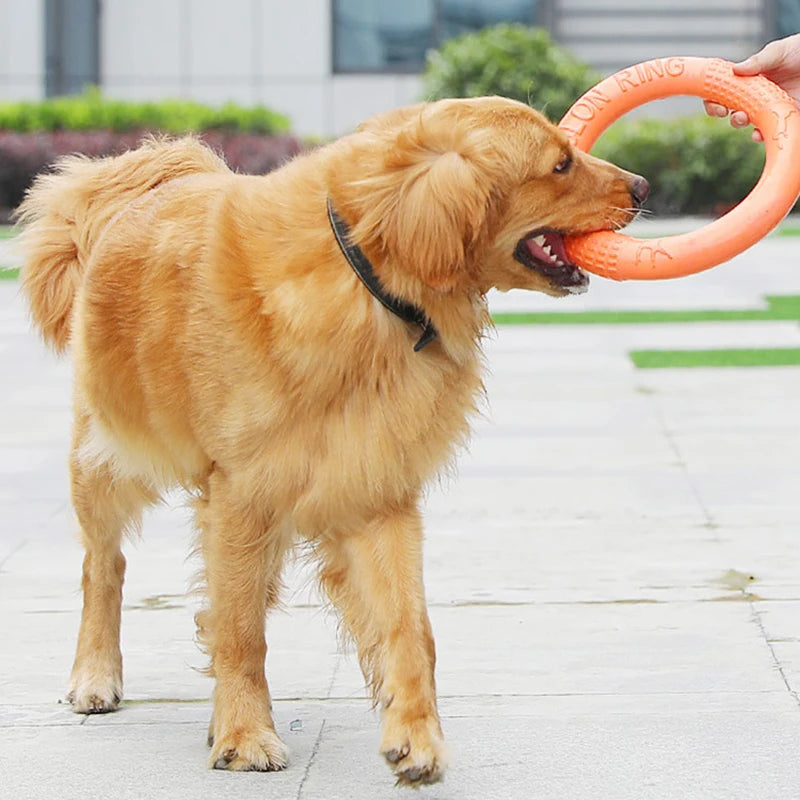 EVA Training Ring Dog Toy
